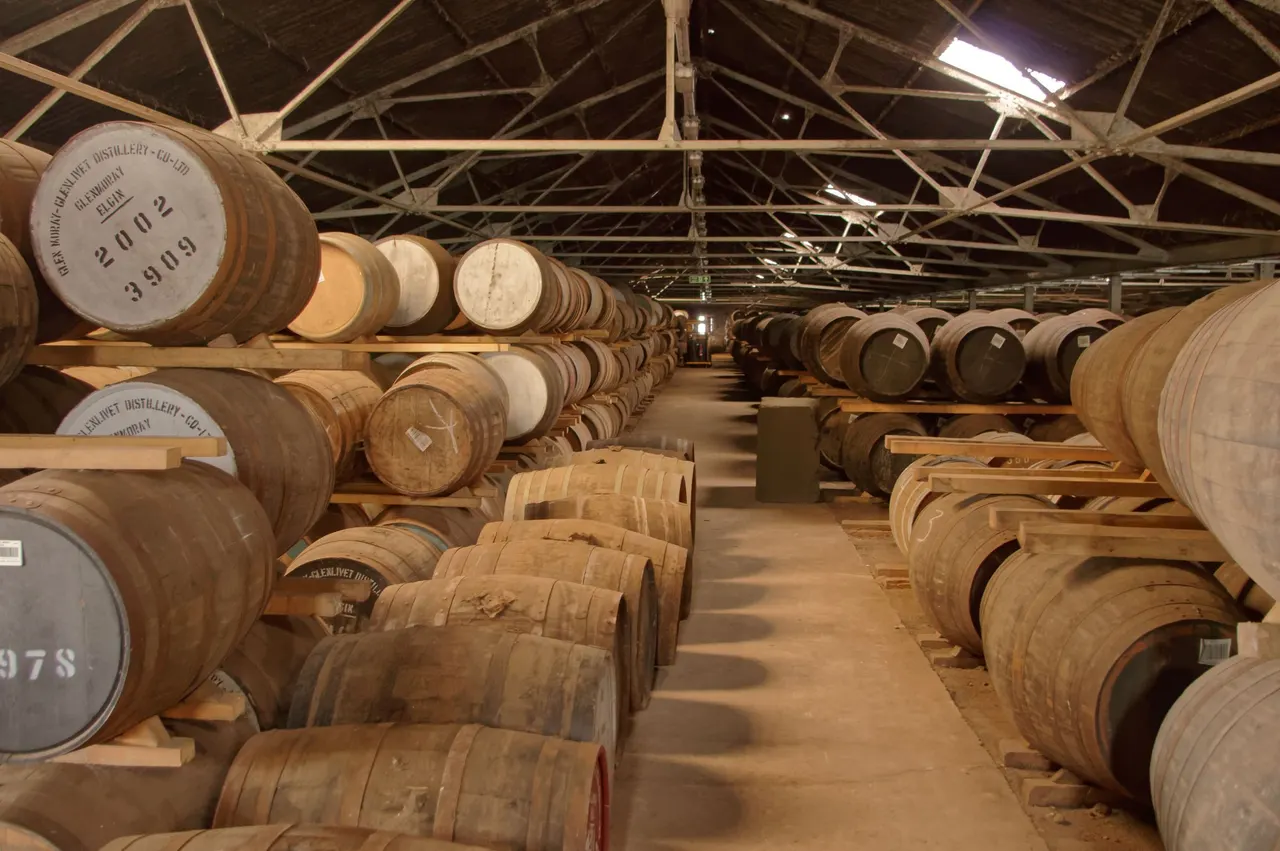 Rows of oak barrels aging in a warehouse